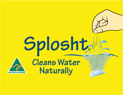 Splosht International